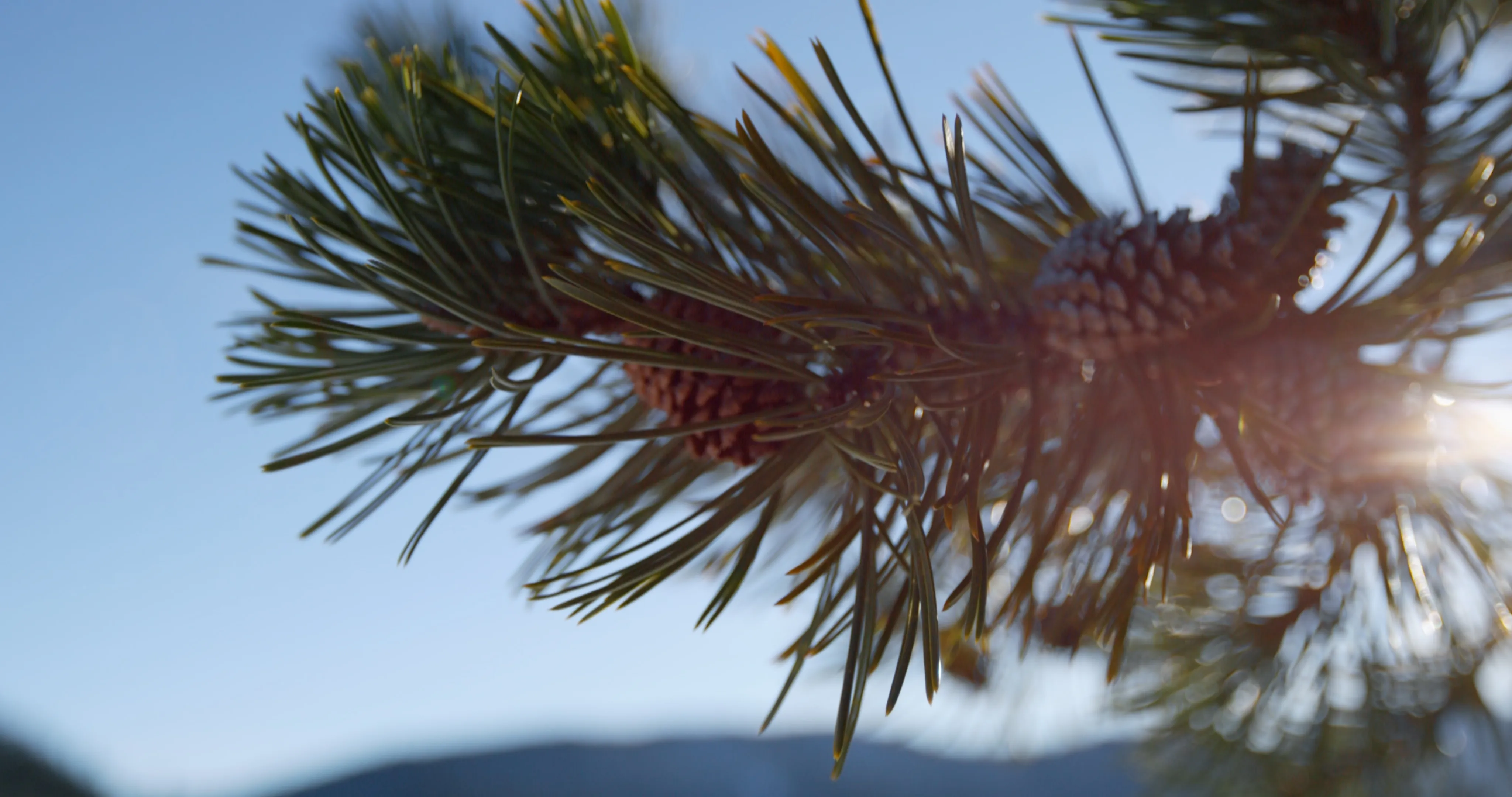 4K screenshot of the wall content in motion
